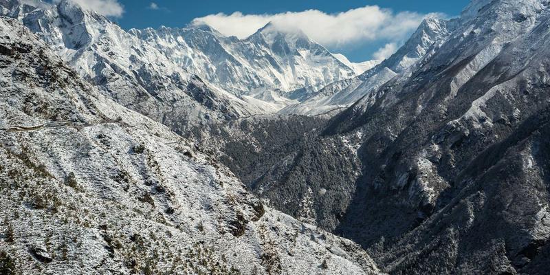2024年网站建设趋势:融合品牌推广与智能SEO优化的新一代数字门户