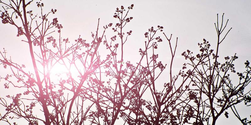 AI聊天机器人：品牌推广与网络营销的新引擎，驱动网站SEO优化后的用户转化飞跃