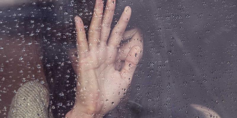 WordPress网站建设从零到上线：打造品牌推广与网络营销的坚实阵地