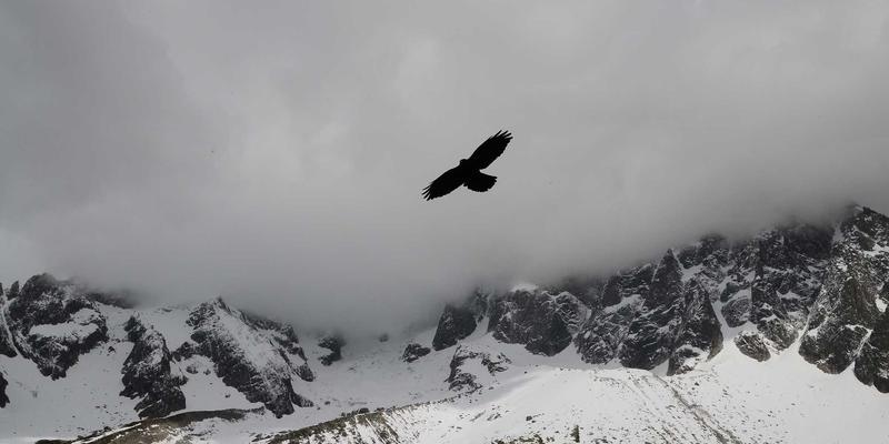 从Figma到上线：现代网站建设中的设计稿交付与开发协作流程如何驱动SEO优化与品牌推广