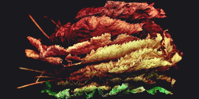 工业风网站建设如何通过A/B测试优化页面布局与CTA按钮设计，提升网络营销转化率