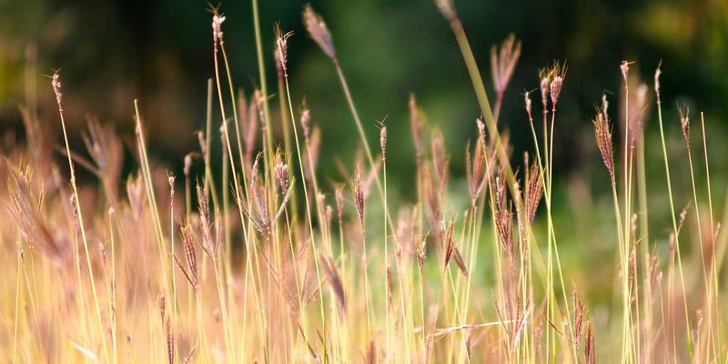 工业风设计如何赋能品牌推广?揭秘网站建设的硬核美学策略