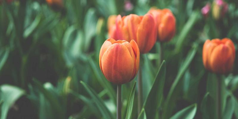 工业风设计网站如何通过无障碍设计提升网络营销效果？以维度网为例