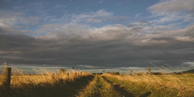 维度网工业风设计：教育机构如何通过在线课程门户与社区功能增强用户粘性
