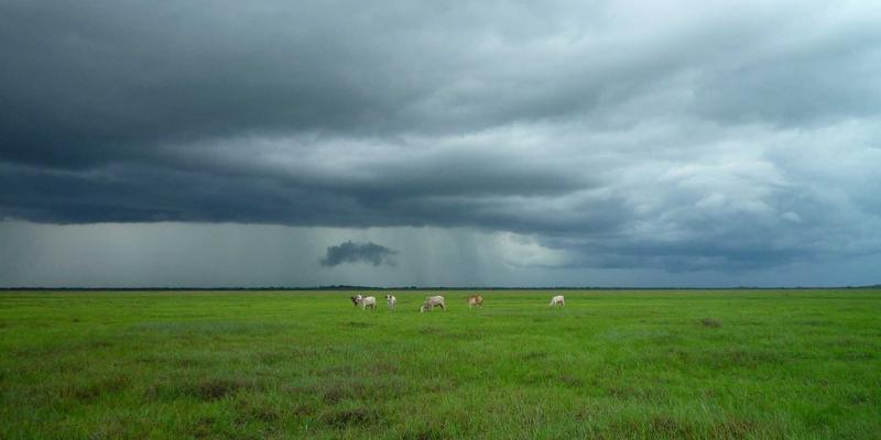 网站建设68：工业风设计与SEO优化的融合之道