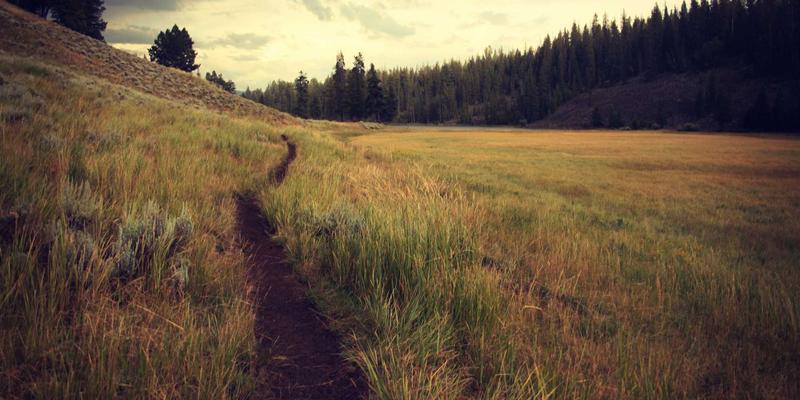 网站建设77：从维度网实践看SEO优化与网站建设的融合之道