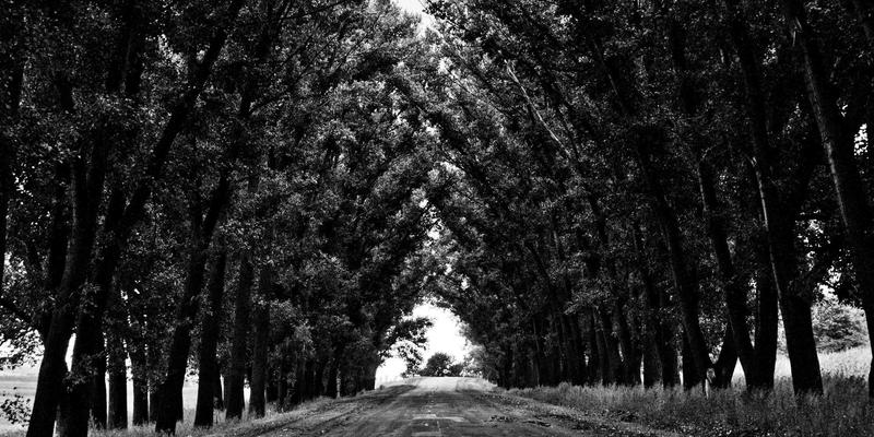 网站建设99：从工业风设计到品牌推广，维度网如何重塑企业数字形象