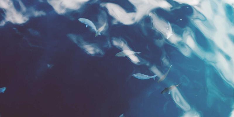 网站建设中的色彩心理学：如何通过配色方案驱动品牌推广与网络营销