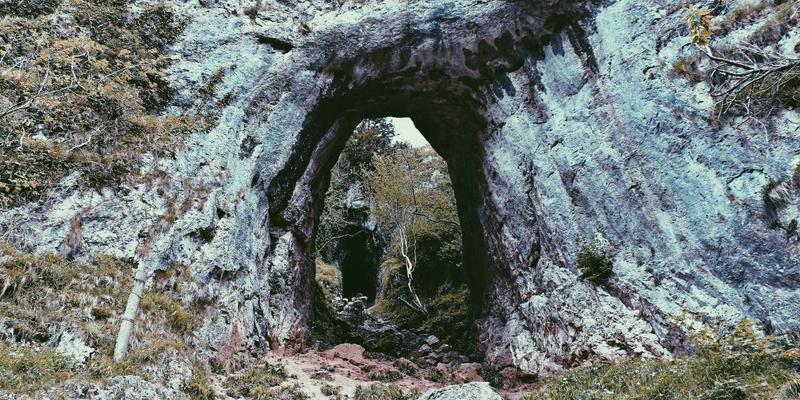 网站建设初期如何通过用户画像与需求分析驱动网络营销与品牌推广