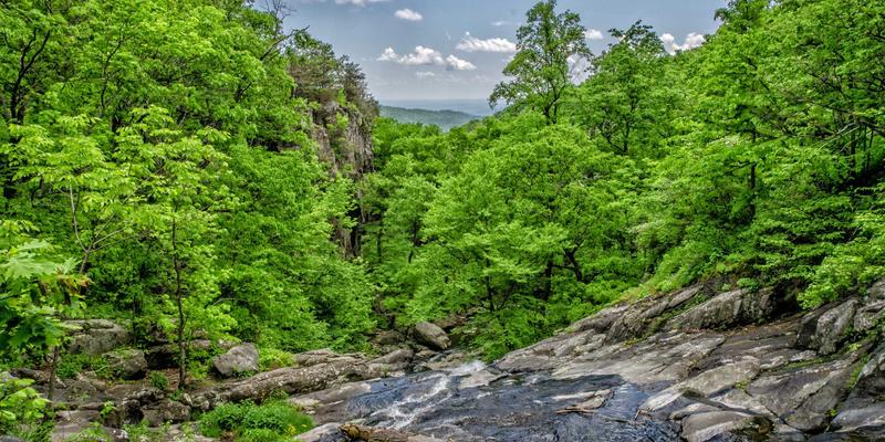 网站建设如何赋能品牌推广？工业风设计与SEO优化的融合之道