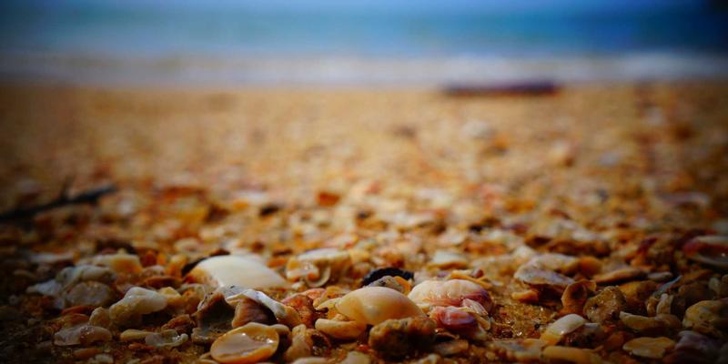 网站建设新引擎：如何用渐进式Web应用技术提升移动端体验与用户留存