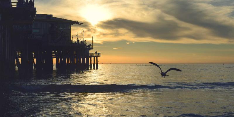 网站建设新纪元：融合SEO优化与品牌推广的三大战略