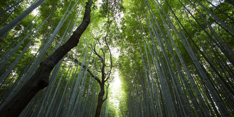 网站建设新维度：如何通过SEO优化与品牌推广打造高价值数字资产