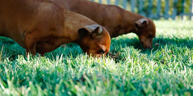 网站建设是什么？融合品牌推广、工业风设计与SEO优化的数字化战略