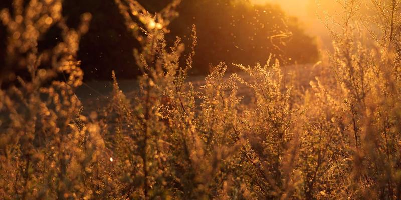 网络营销新引擎：维度网揭秘网站建设如何整合CRM系统，实现客户管理与销售转化双提升